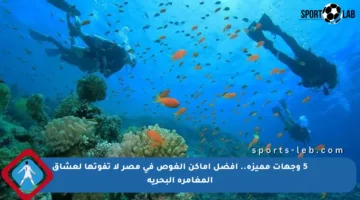 5 وجهات مميزة.. أفضل أماكن الغوص في مصر لا تفوتها لعشاق المغامرة البحرية